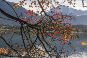 Herbst am Barmsee