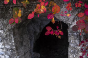 Herbst vor dem Bunker