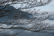 Alpenvorland unterm Nebel