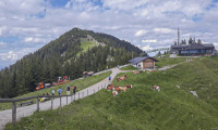 Bergstation und Wallberg